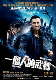 Kung Fu Jungle Hindi full Movie Download