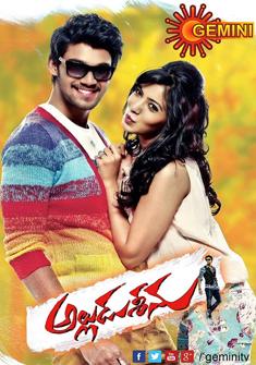 Alludu Seenu (2014) full Movie Download free in Hindi