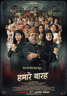 Hum Do Hamare Baarah (2024) full Movie Download Free in HD